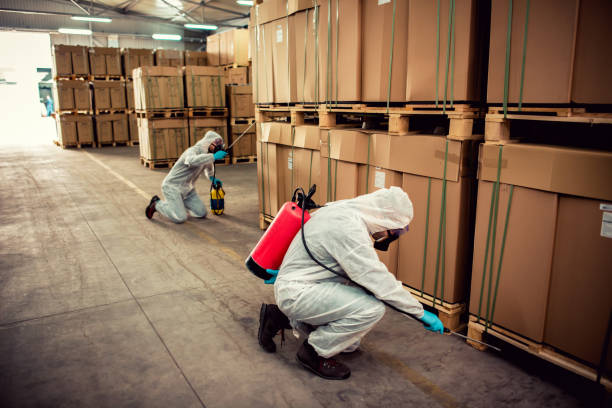 Best Flea Control Services  in Sunnyvale, CA