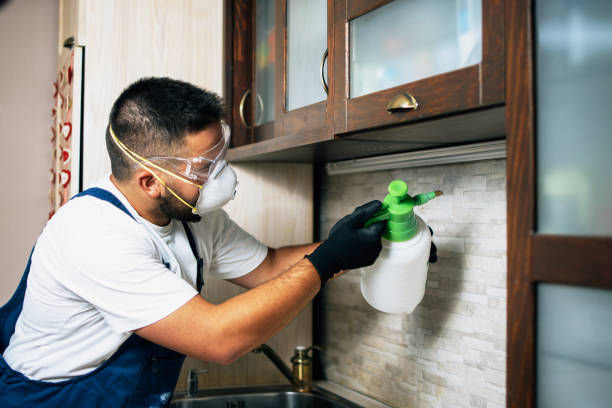 Best Pest Inspection Near Me  in Sunnyvale, CA