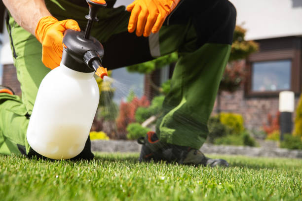 Best Bed Bug Extermination  in Sunnyvale, CA