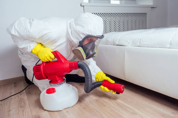 Trusted Sunnyvale, CA Pest Control Experts