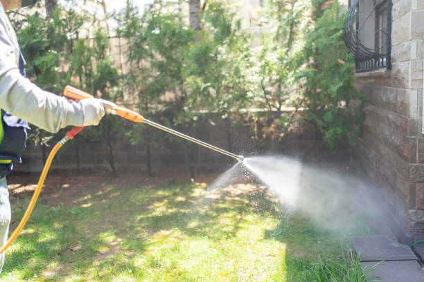 Best Emergency Pest Control  in Sunnyvale, CA