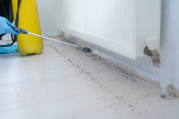 Best Pest Prevention Services  in Sunnyvale, CA